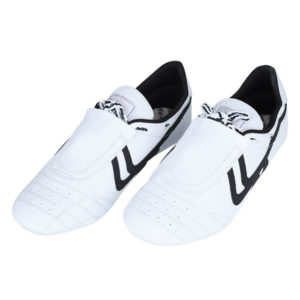karate shoes